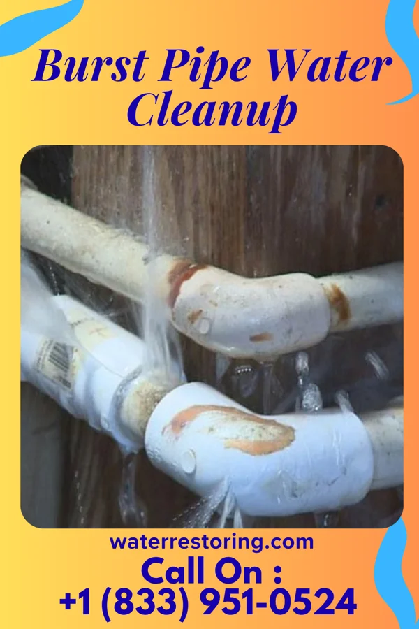 Burst Pipe Water Cleanup in Mocksville, NC