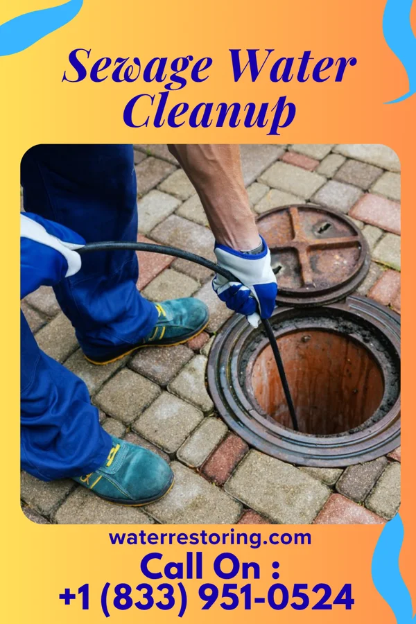 Sewage Water Cleanup in Mocksville, NC