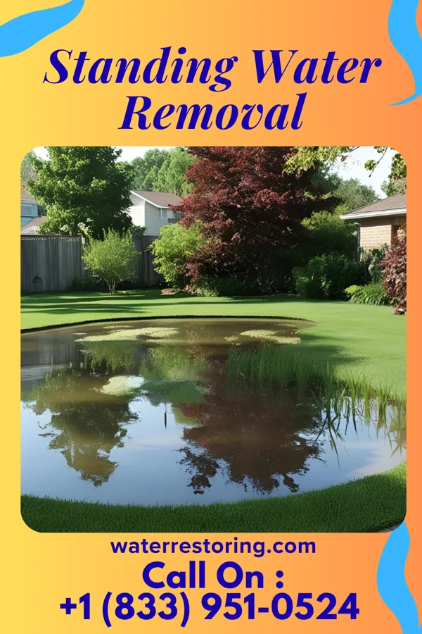 Standing Water Removal in Mocksville, NC